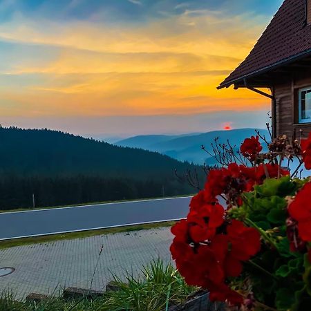Pension Forsthaus Taele - Das Gaestehaus Vom Schwarzwaldgasthaus Salenhof Titisee-Neustadt Exteriér fotografie