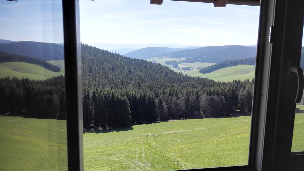 Pension Forsthaus Taele - Das Gaestehaus Vom Schwarzwaldgasthaus Salenhof Titisee-Neustadt Exteriér fotografie