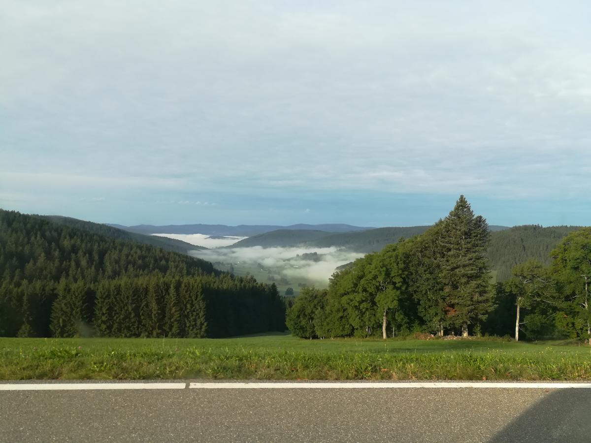 Pension Forsthaus Taele - Das Gaestehaus Vom Schwarzwaldgasthaus Salenhof Titisee-Neustadt Exteriér fotografie