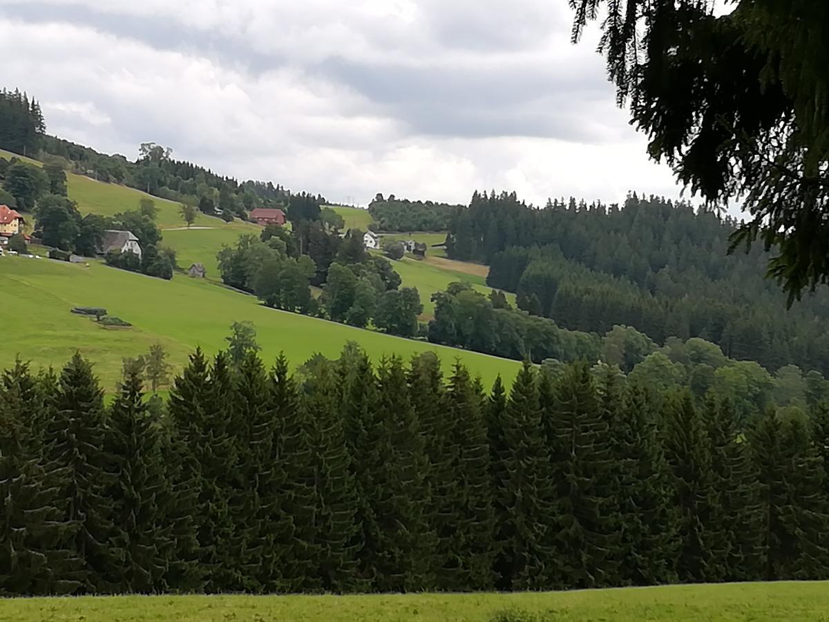 Pension Forsthaus Taele - Das Gaestehaus Vom Schwarzwaldgasthaus Salenhof Titisee-Neustadt Exteriér fotografie